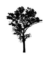 Tree silhouette for brush on white background photo