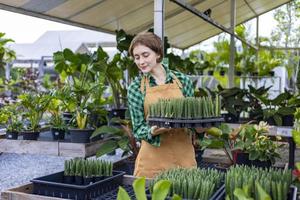 la jardinera caucásica está trabajando dentro de su invernadero en el centro de viveros para cultivadores de plantas nativas y exóticas foto