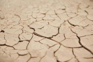 dry ground background photo