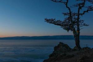 árbol chamán en el cabo burkhan y la superficie de hielo del lago baikal al atardecer en invierno. foto