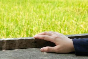 Hand catch base of wooden window frame with background of green rice field. photo