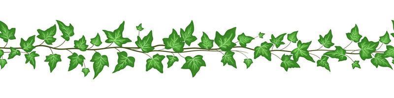 Seamless border with green ivy leaves isolated on white background. Vector flat cartoon illustrations. Vine climbing ivy