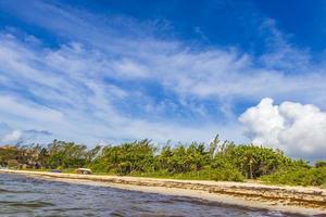 Tropical mexican beach water seaweed sargazo Playa del Carmen Mexico. photo