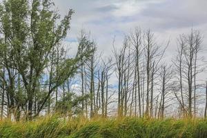 Beautiful natural landscape view panorama forest Oste river water Germany. photo