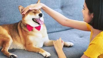 Happy woman and shiba inu dog sitting together on a sofa at home photo