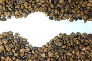 coffee beans stripes isolated in white background photo