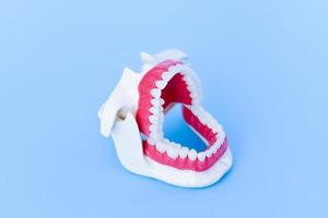 modelo de dientes de ortodoncia dentista foto