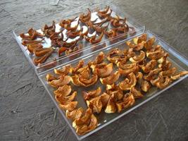 Drying dried fruits in summer for harvesting compotes photo