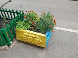 Flowers and plants grow in the front garden near the house in the city photo