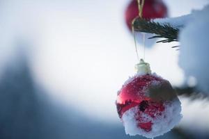 bolas de navidad en el árbol foto