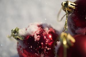 christmas ball in snow photo