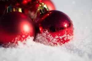 red christmas ball in fresh snow photo