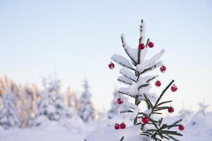 christmas balls on pine tree photo