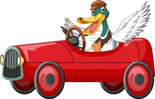 Soapbox derby with duck driving car vector