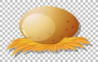 Egg on grid background vector