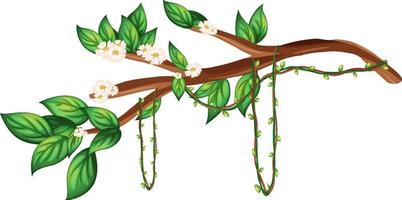 Cherry blossom branch isolated vector