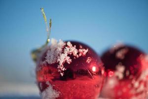 christmas ball in snow photo