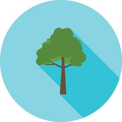 Tree Flat Long Shadow Icon