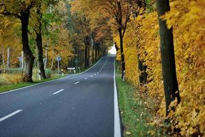 country road view photo