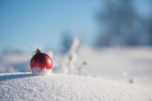 christmas ball in snow photo