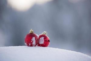 christmas ball in snow photo