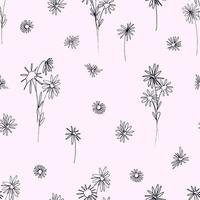 Seamless pattern vector graphic chamomile flowers in line-art style.