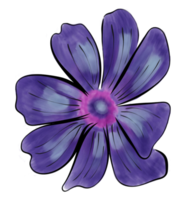 Isolated flower on a transparent background. Watercolor. png