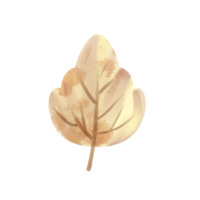 leaf paint cartoon png