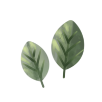 leaf paint cartoon png