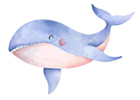 Cute blue whale. Underwater animal art. Watercolor illustration. png