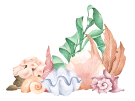 Hand painted watercolor composition with seaweed, corals and shells. png