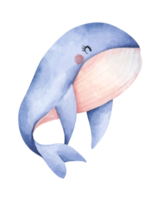 Cute blue whale. Underwater animal art. Watercolor illustration. png