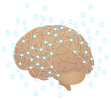 concepto de idea de red de cerebro creativo png