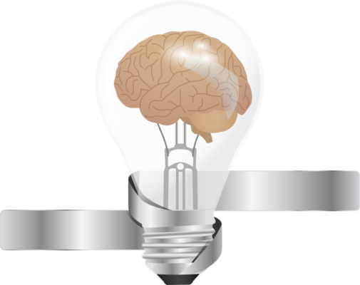 Brain PNGs for Free Download