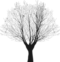 Naked trees silhouette design png