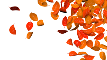 folhas de outono espalhadas tema laranja e amarelo colorido, ação de graças, renderização em 3d png
