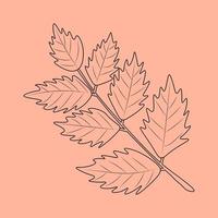 Set of hand drawn leaf outlines. Vector illustration. on the autumn background