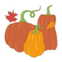Seasonal autumn orange pumpkin flat vector isolated illustration