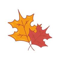 Pair of autumn leaves flat vector isolated illustration