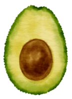 eine Hälfte der Avocado-Frucht-Aquarellart für Thanksgiving-Dekorationselement png