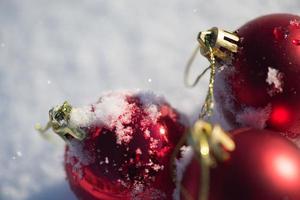 red christmas ball in fresh snow photo