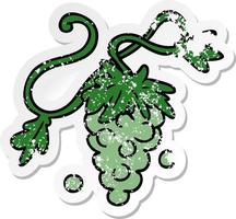 distressed sticker cartoon doodle of grapes on vine vector