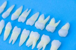 Top view of white teeth on blue background photo