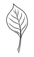 BLACK VECTOR ILLUSTRATION OF A LEAF ISOLATED ON A WHITE BACKGROUND