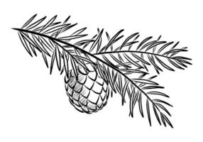 BLACK VECTOR ILLUSTRATION OF A PINE BRANCH WITH A CONE ISOLATED ON A WHITE BACKGROUND