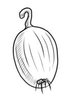 BLACK VECTOR ILLUSTRATION OF AN ISOLATED ONION ON A WHITE BACKGROUND