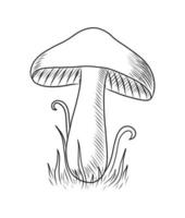 BLACK VECTOR ILLUSTRATION OF A MUSHROOM ISOLATED ON A WHITE BACKGROUND