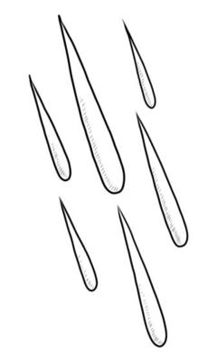 BLACK VECTOR ILLUSTRATION OF RAINDROPS ISOLATED ON A WHITE BACKGROUND