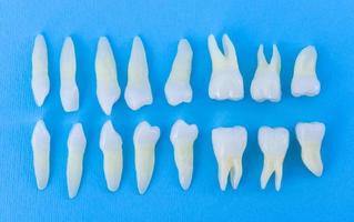 Top view of white teeth on blue background photo