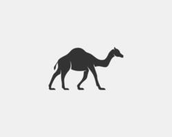 camel vector silhouette